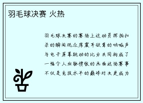 羽毛球决赛 火热